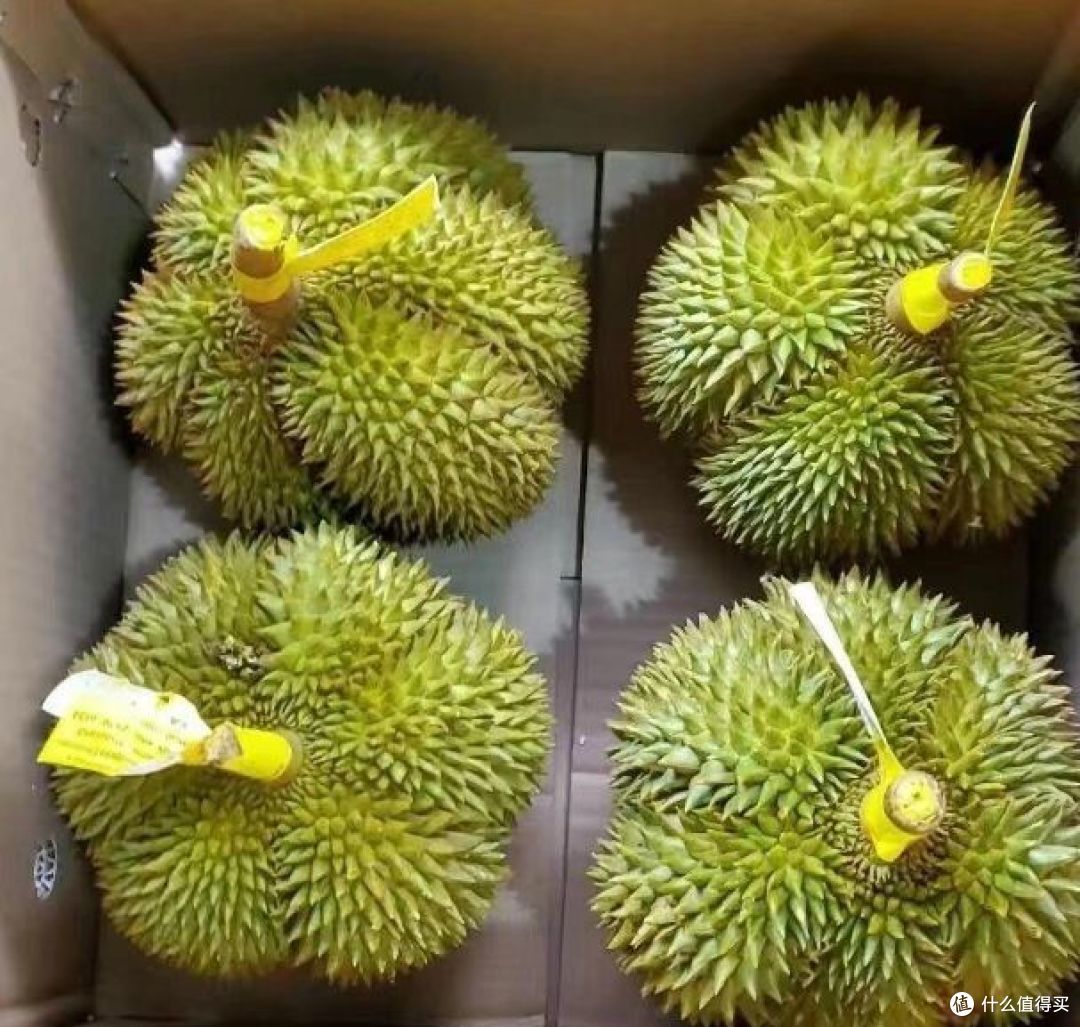 甲仑榴莲好吃吗?价格又如何?