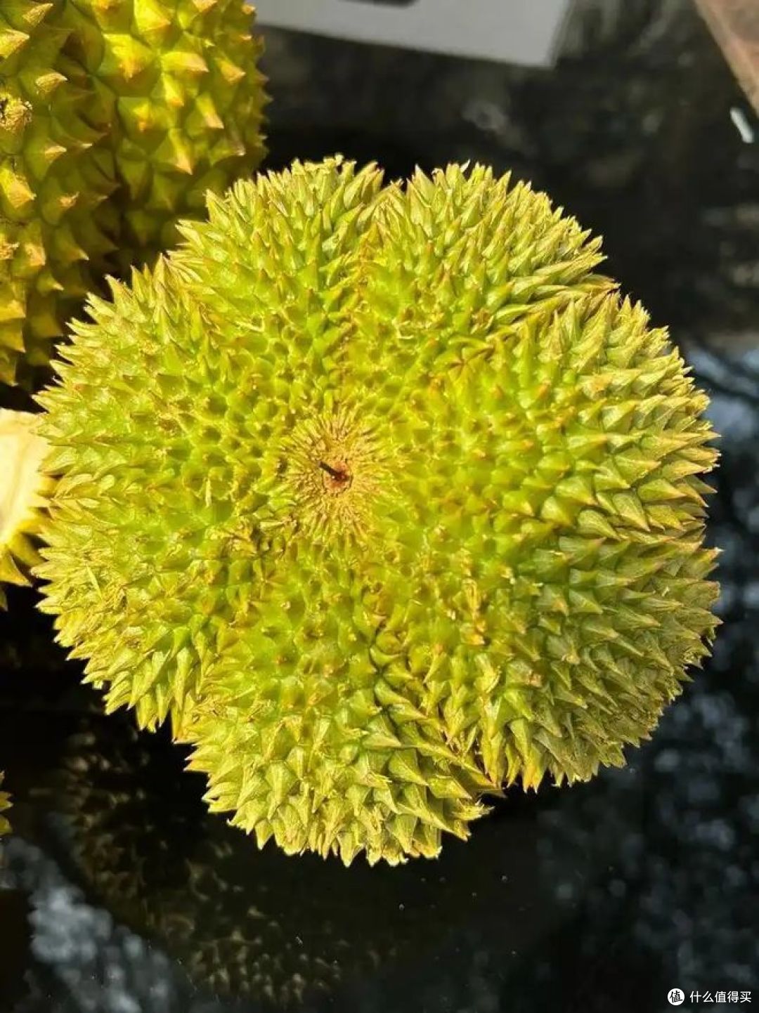 甲仑榴莲好吃吗?价格又如何?