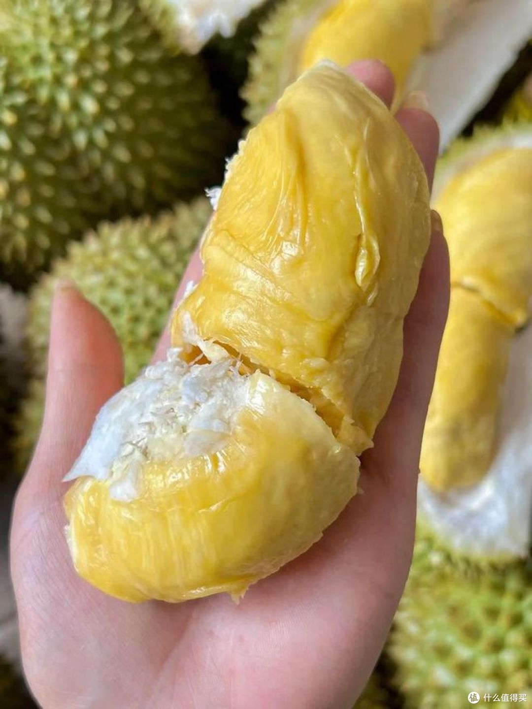 甲仑榴莲好吃吗?价格又如何?