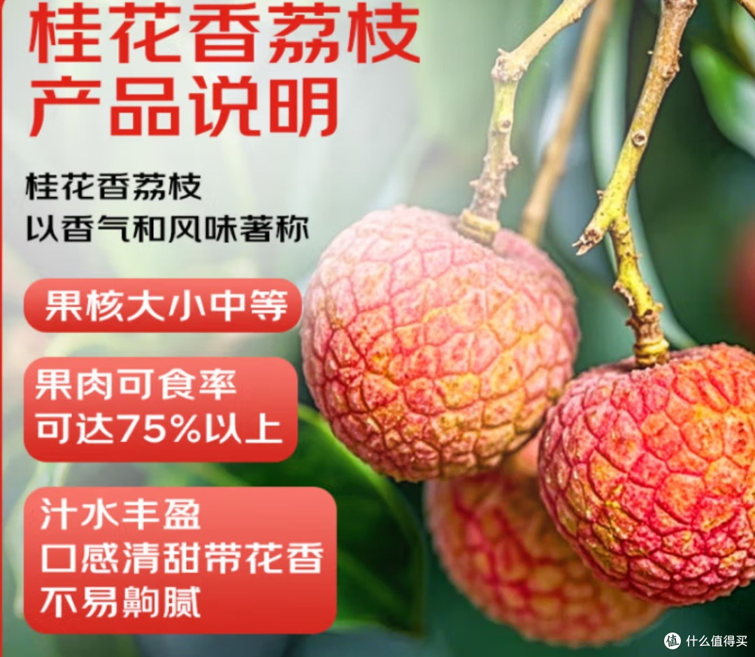 春季尝鲜正当时,京鲜生海南桂花香荔枝别错过!
