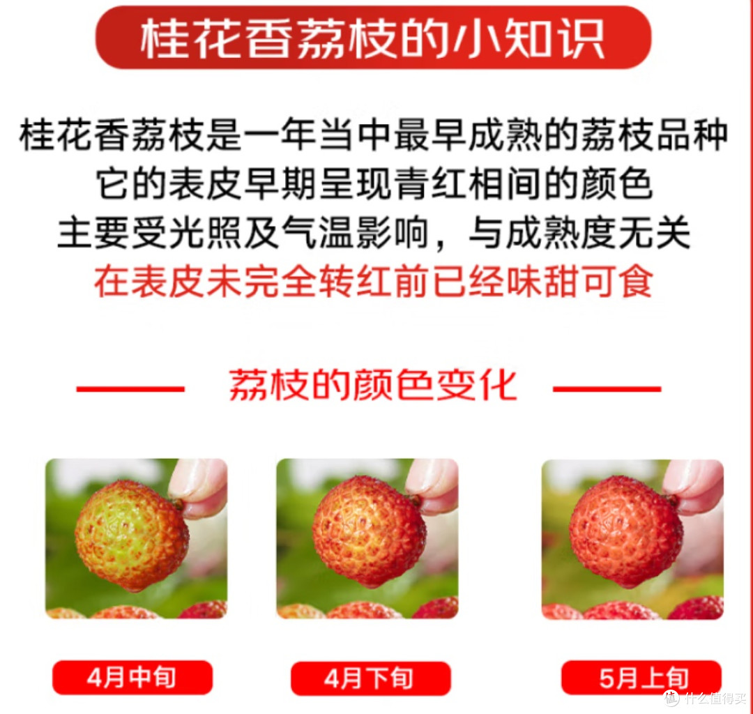 春季尝鲜正当时,京鲜生海南桂花香荔枝别错过!