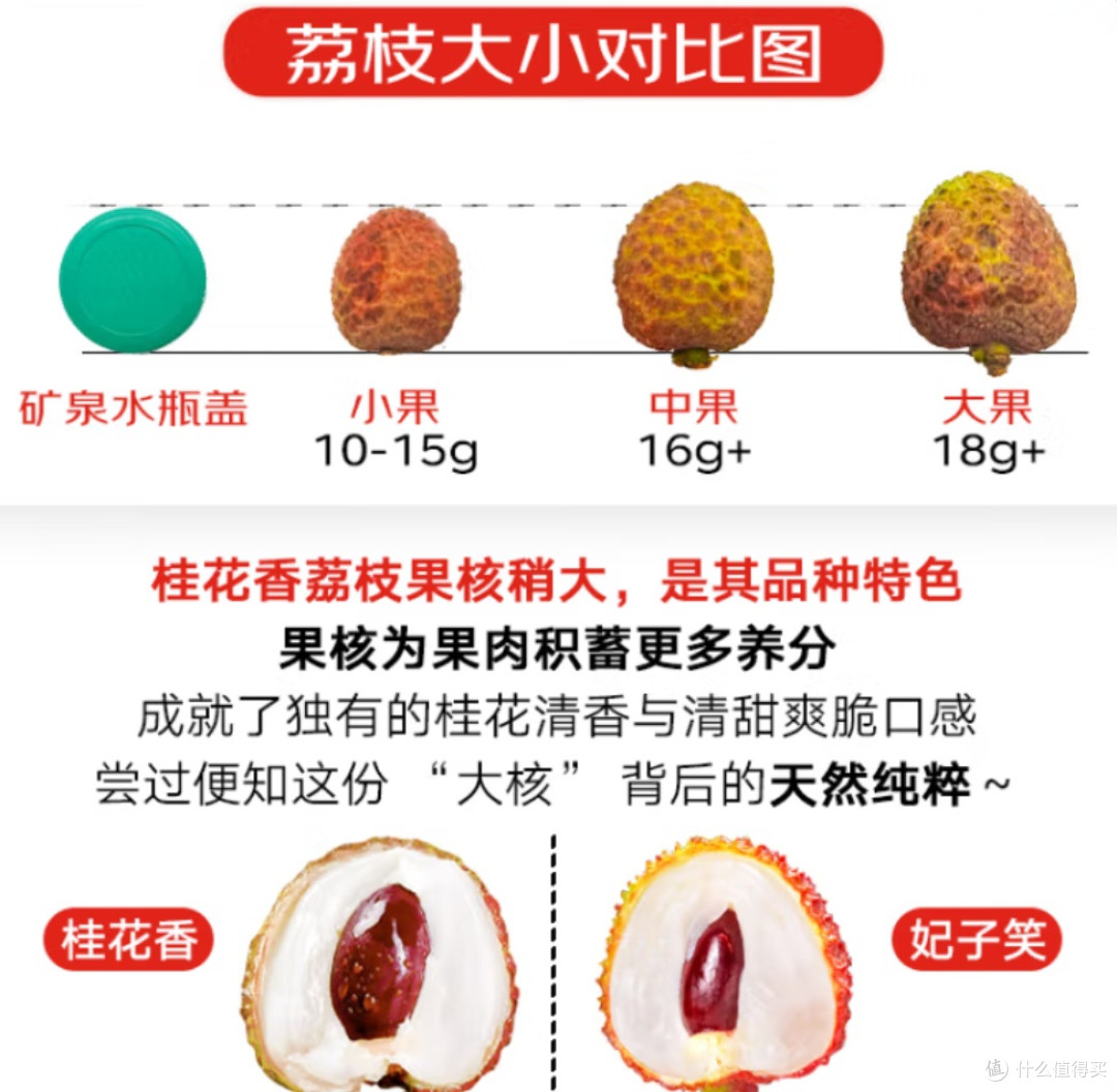 春季尝鲜正当时,京鲜生海南桂花香荔枝别错过!