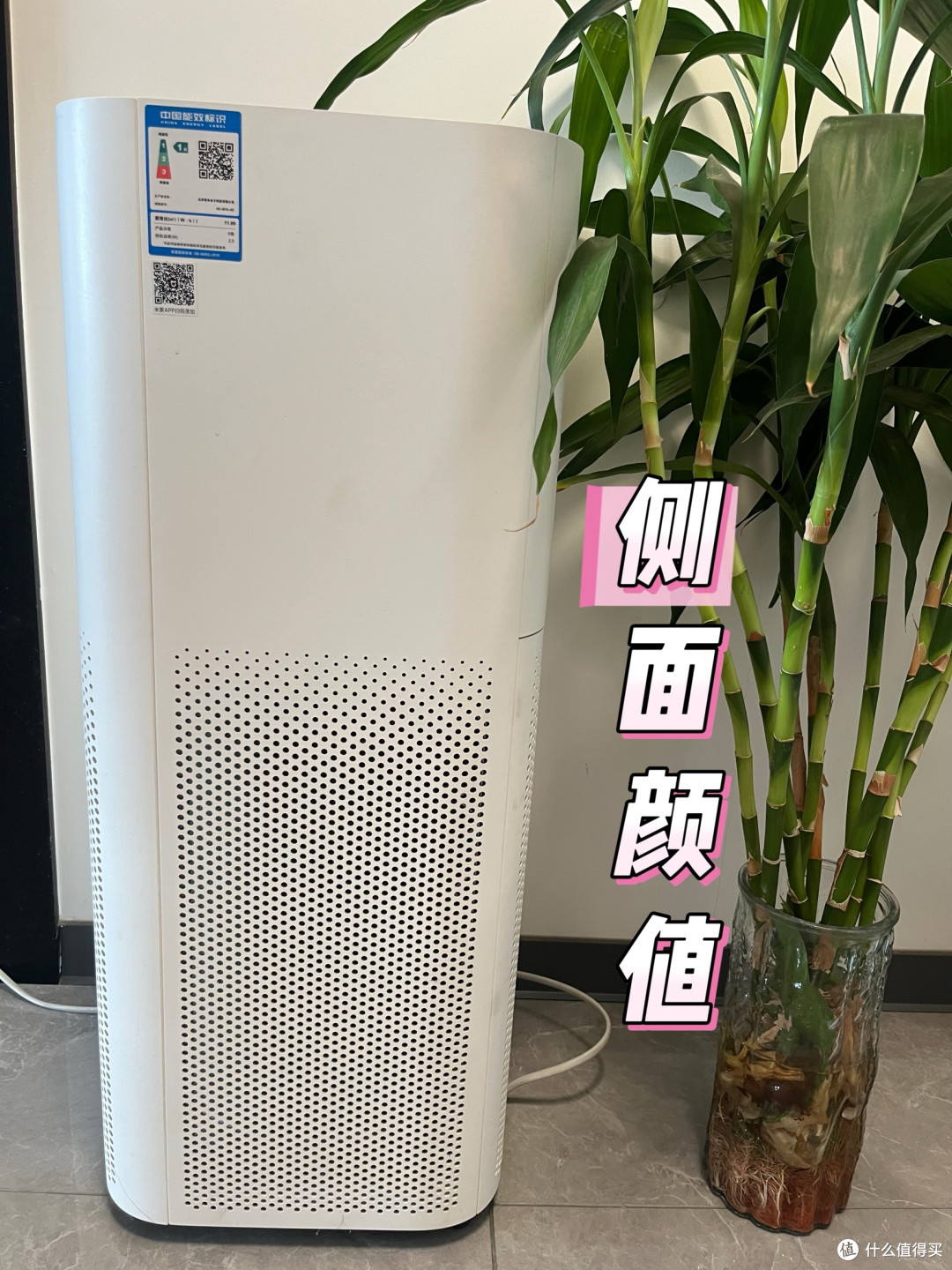 为什么妞在快要到夏天的时候才买了空气净化器