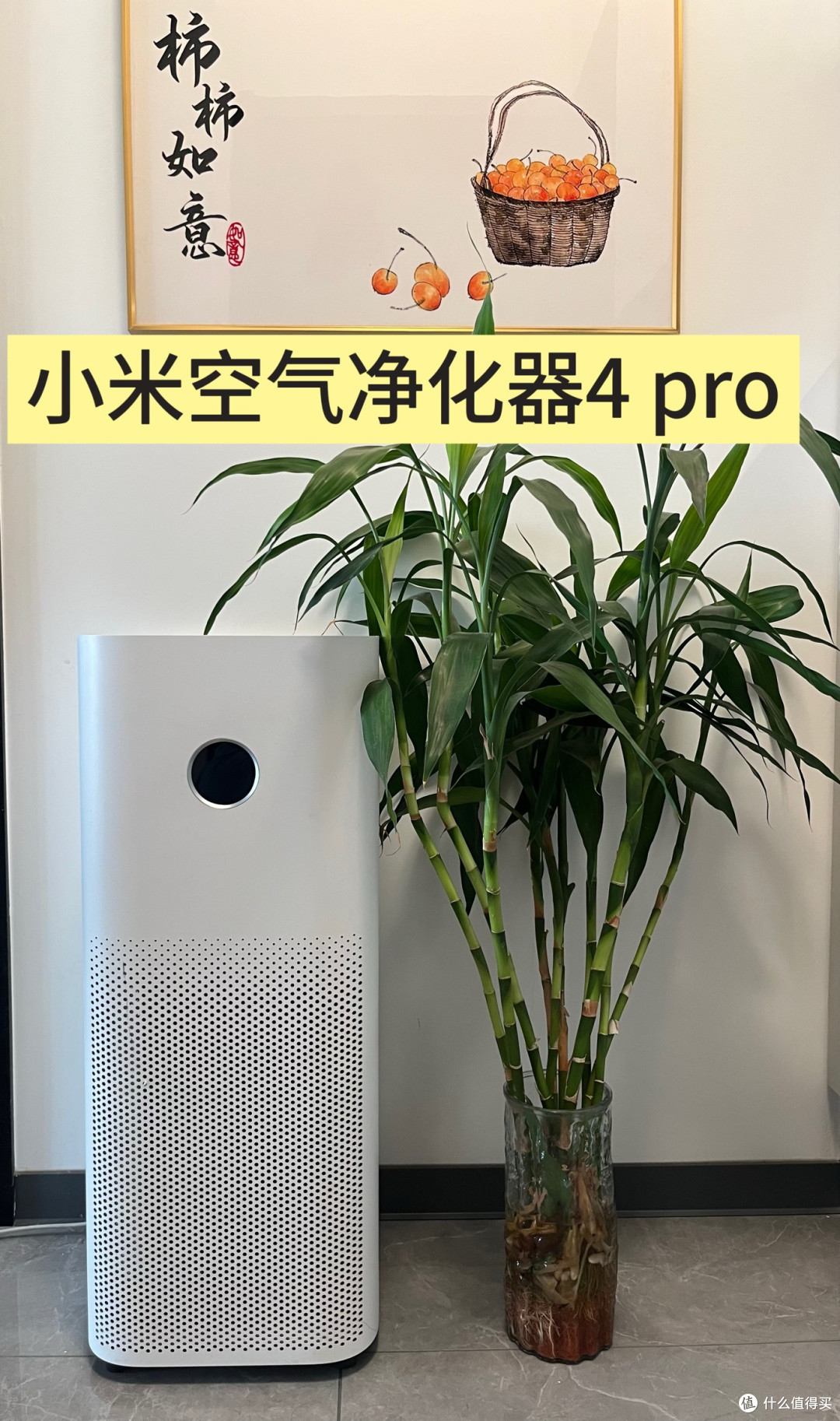 为什么妞在快要到夏天的时候才买了空气净化器