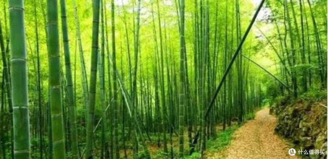 山野间徒步经验心得