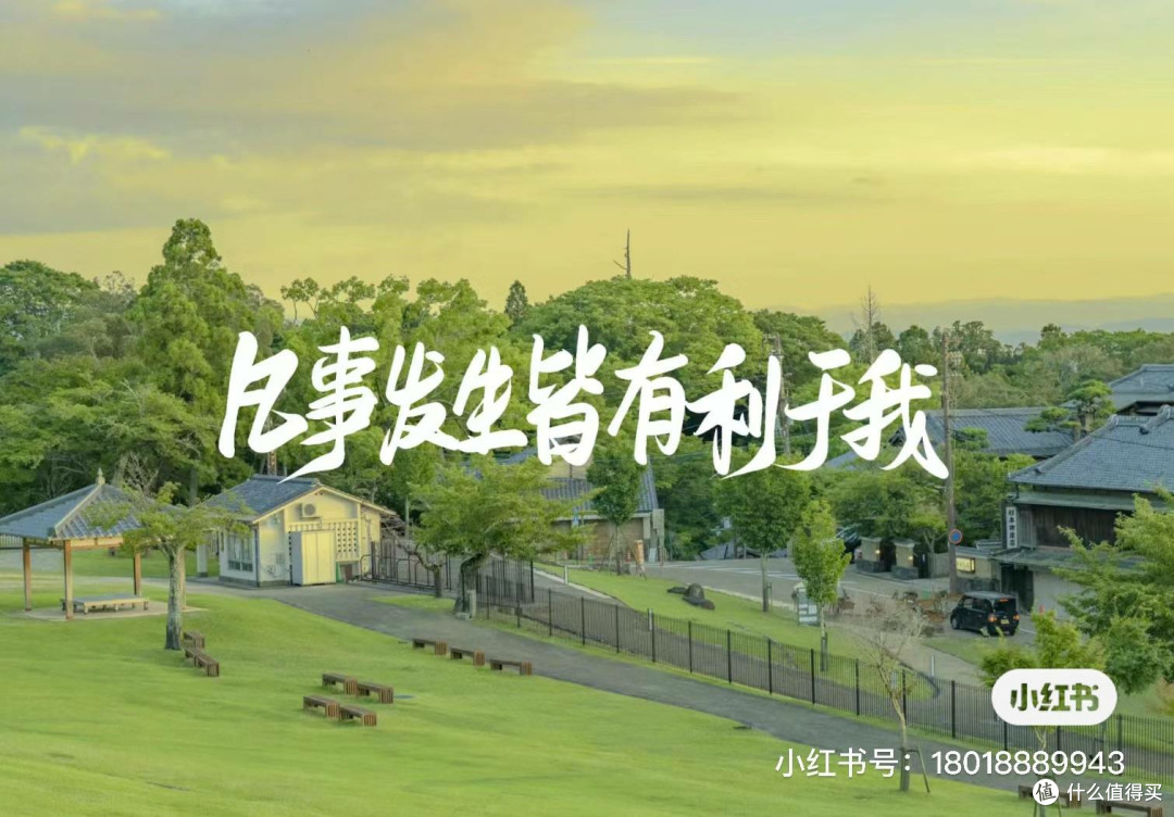 你错过了哪些踏青美景？