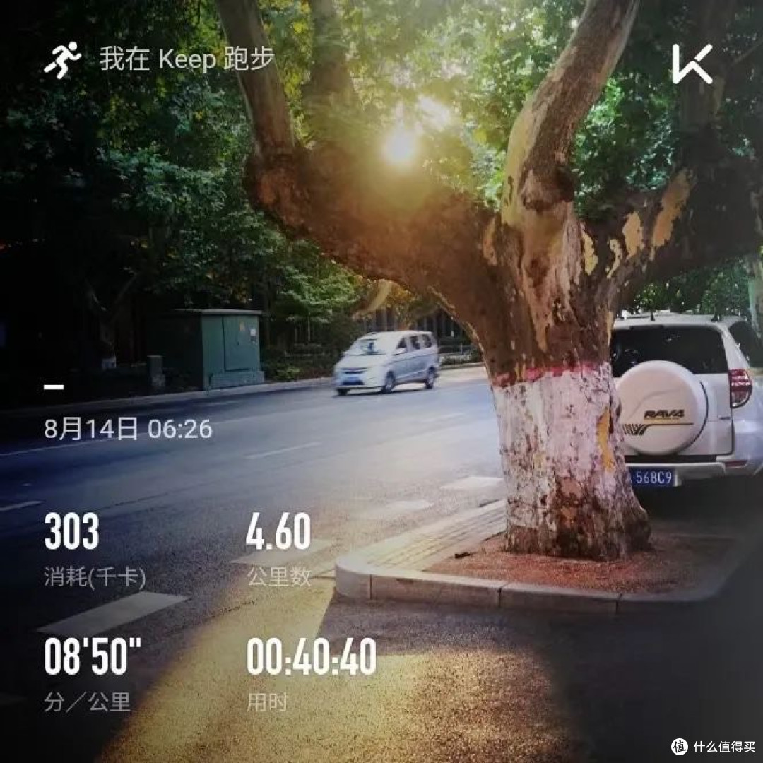 🏃♂️每一步都算数:健身旅程的刻度与蜕变之书