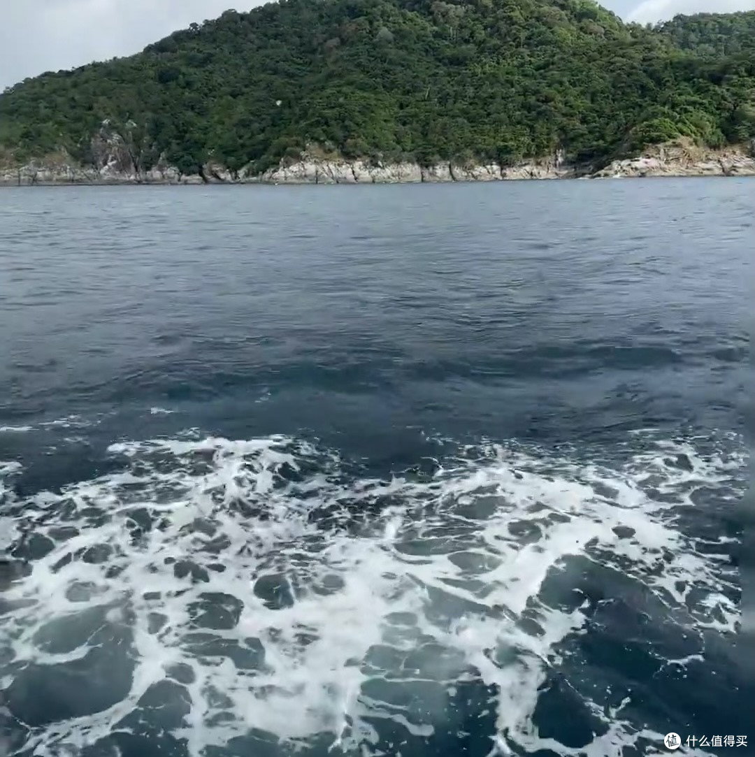 海钓日记📝Lucky fish上钩啦!