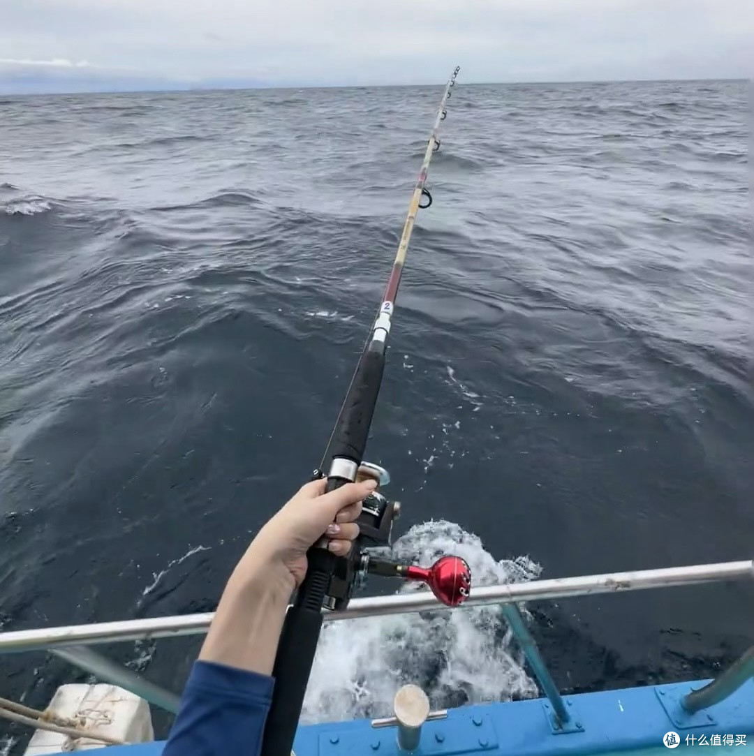 海钓日记📝Lucky fish上钩啦!