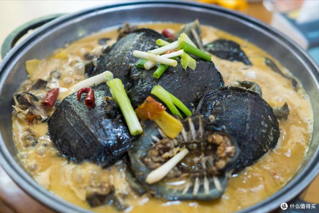 中国甲鱼图鉴,这10种香了3000年