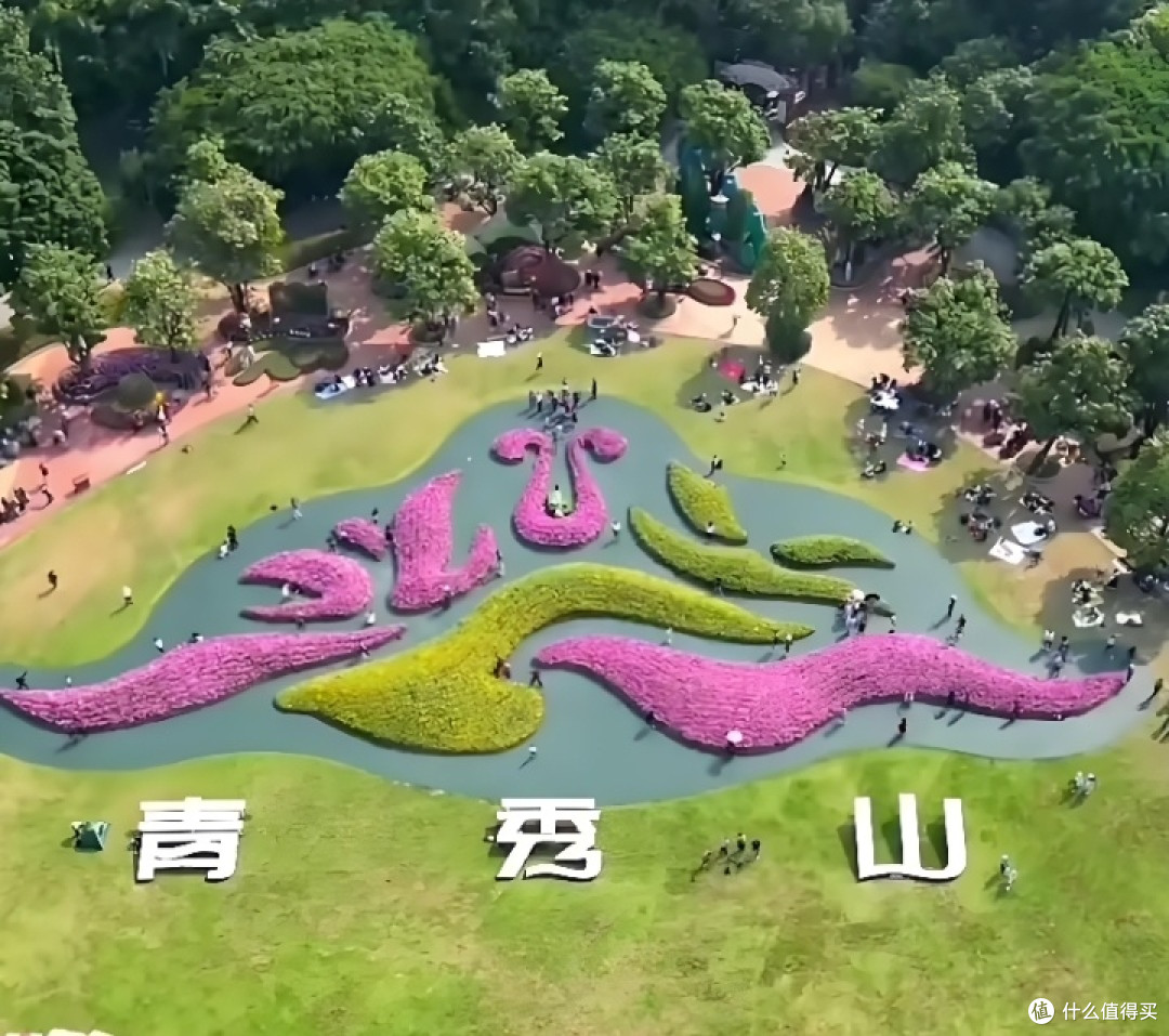 五一青秀山之旅:花海与烟花下的艺术探索与感悟