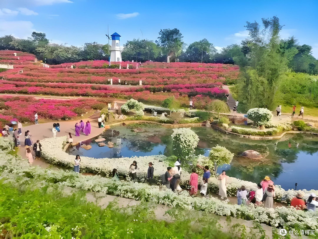 五一青秀山之旅:花海与烟花下的艺术探索与感悟