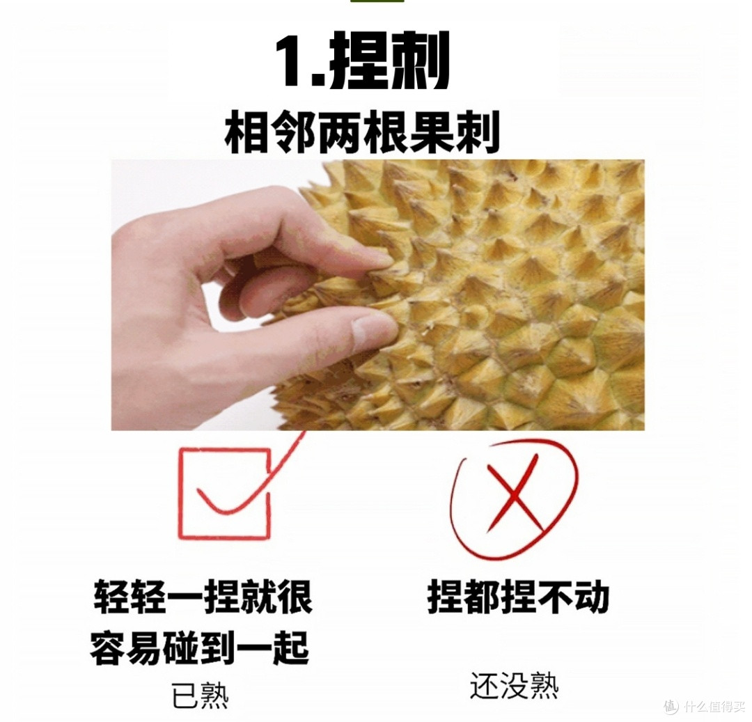 榴莲控集合！春季实现榴莲自由攻略