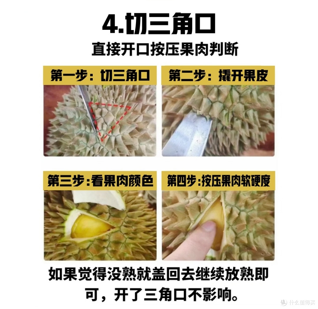 榴莲控集合！春季实现榴莲自由攻略