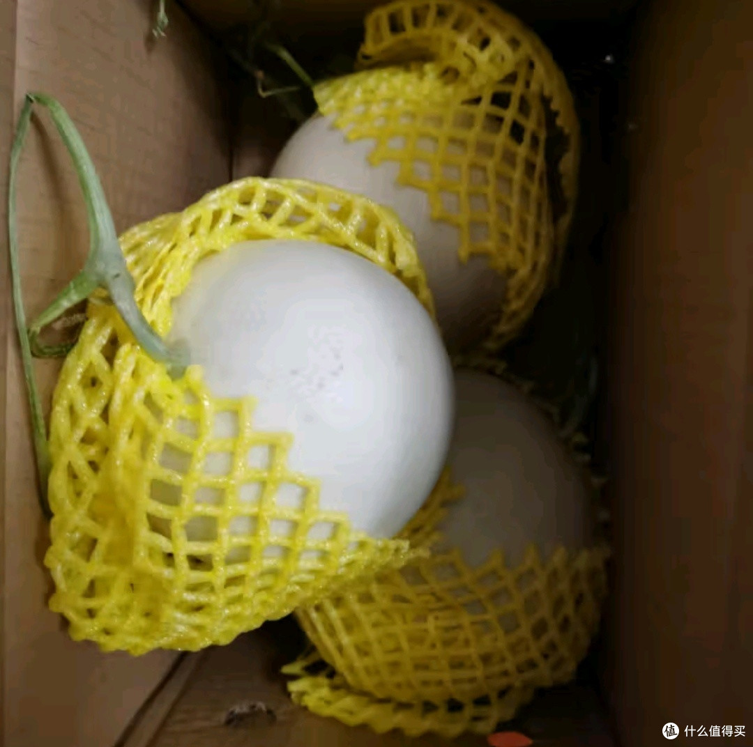 觅山东玉菇甜瓜:咬一口春天,冰镇“奶油雪球”滚进舌尖!