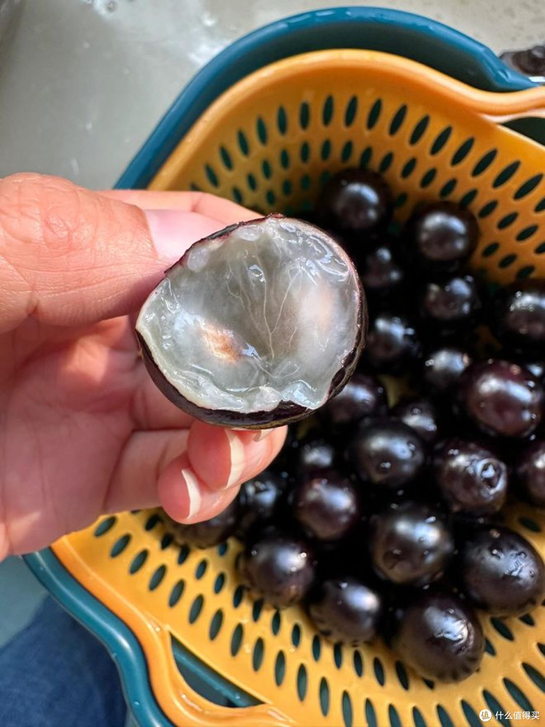 嘉宝果和蓝莓有区别吗?这些惊人差异你知道吗?