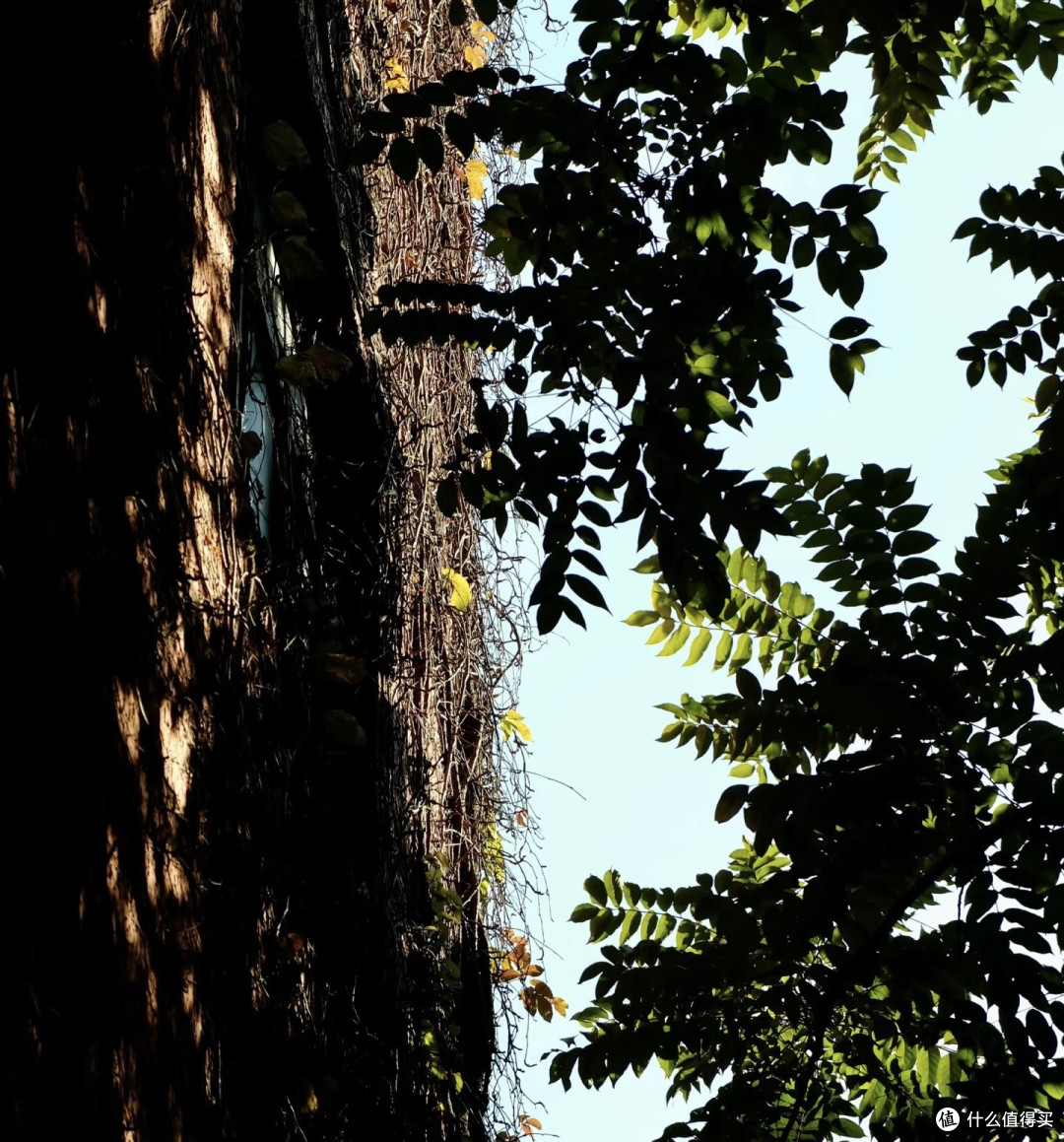 富士x20我的艺术怀旧之旅