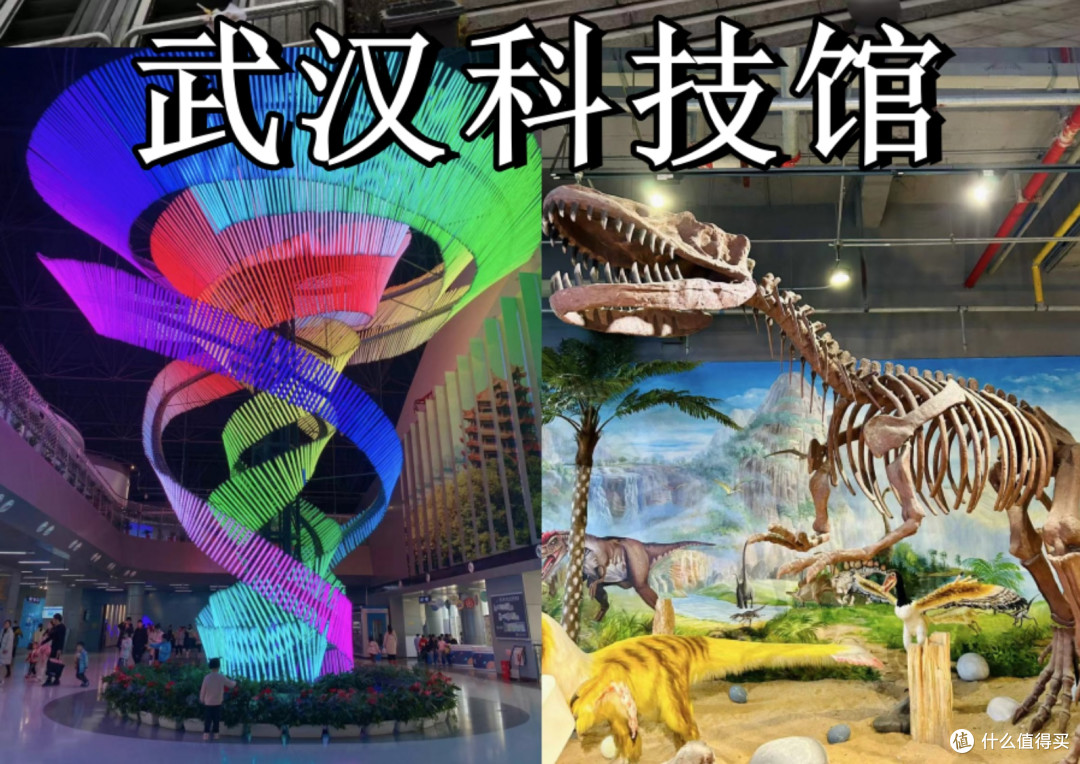 春日里的艺术盛宴：打卡热门展览之武汉科技馆，分享观展心得！