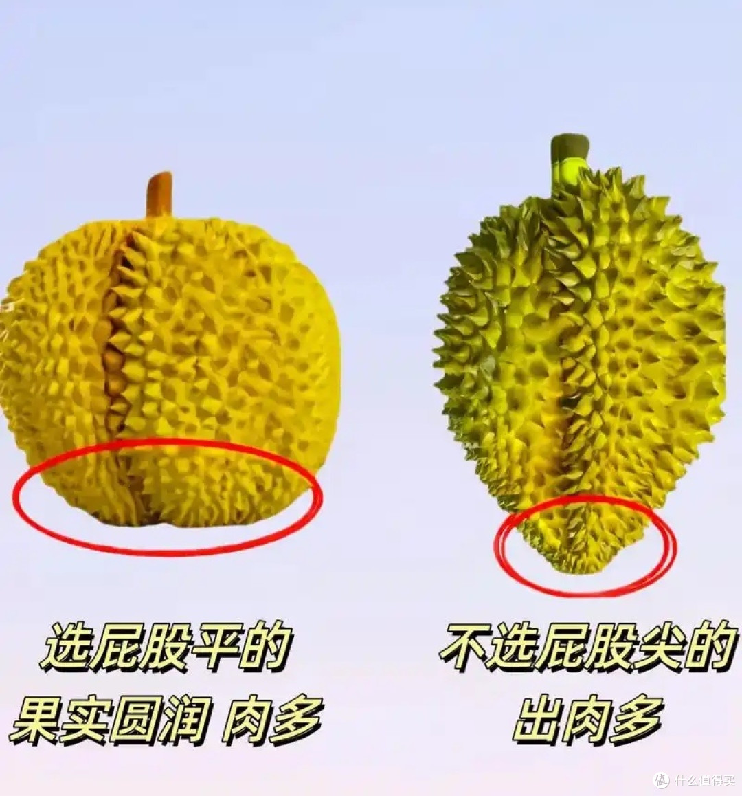 榴莲控集合！春季实现榴莲自由攻略