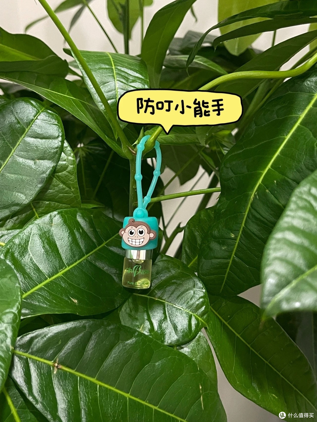 OhBases欧比信夏日必备的防叮好物