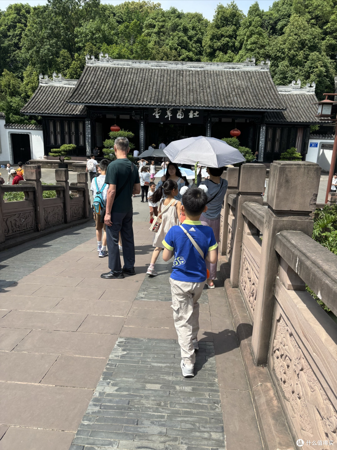 四川成都纪行:探寻生命的真谛