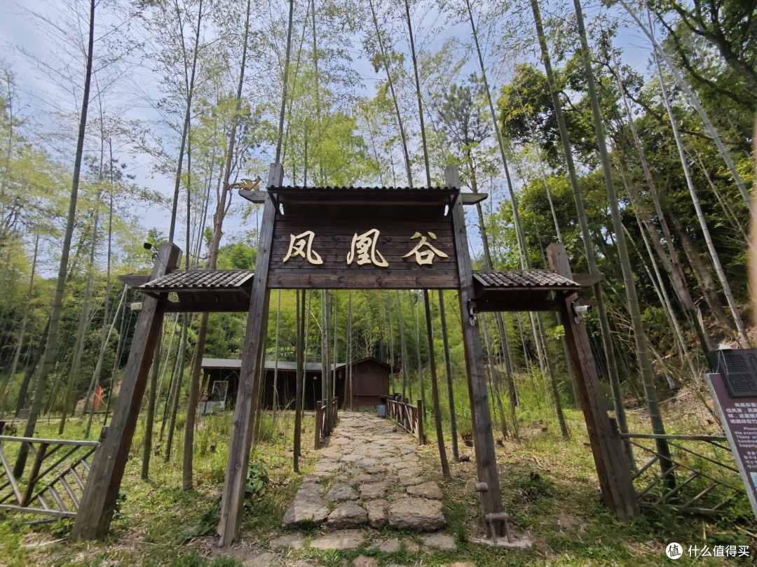 这地方荒废了的感觉