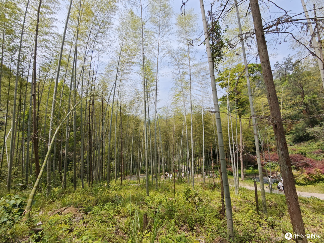 五一武汉周边游之阳新县仙岛湖景区游