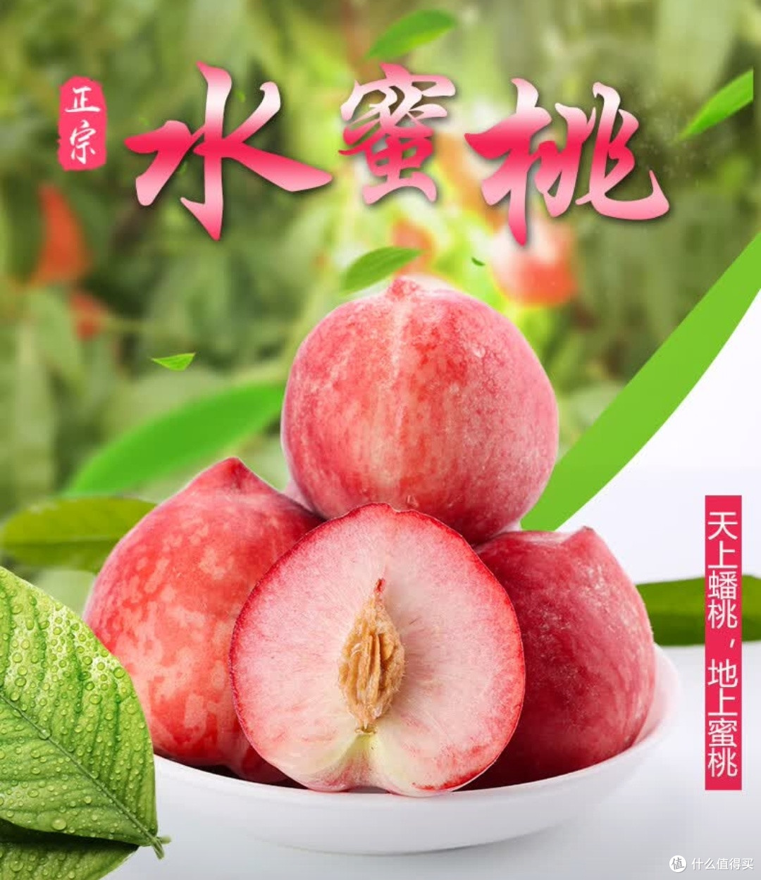 春季当季水果——大口七八发顺丰水蜜桃的品种特性与消费价值