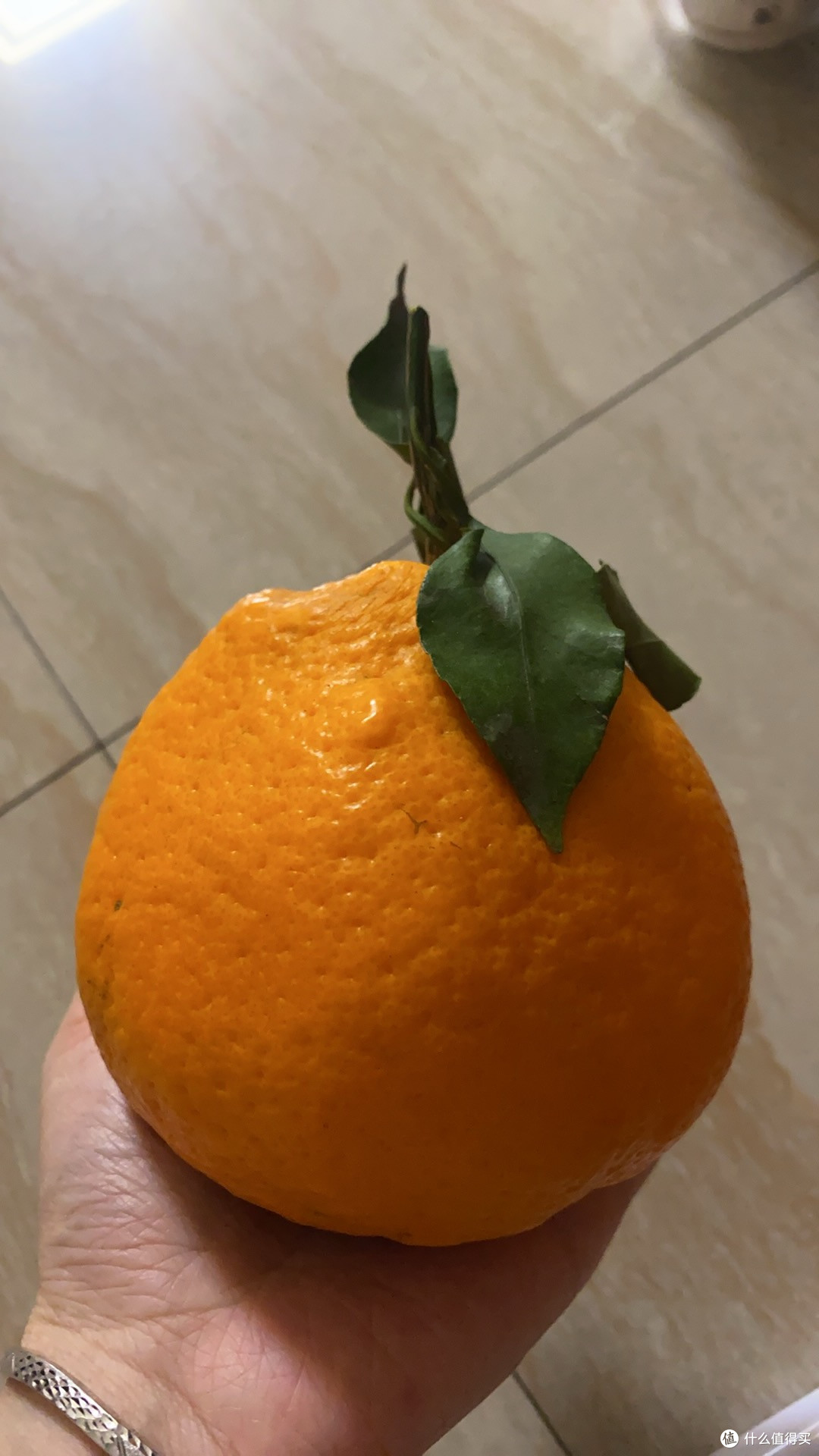大大的耙耙柑