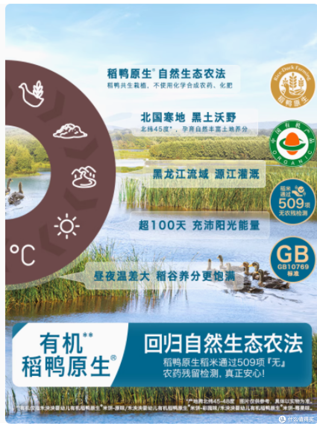 宝妈必看!禾泱泱苹果味米饼,宝宝的健康美味之选