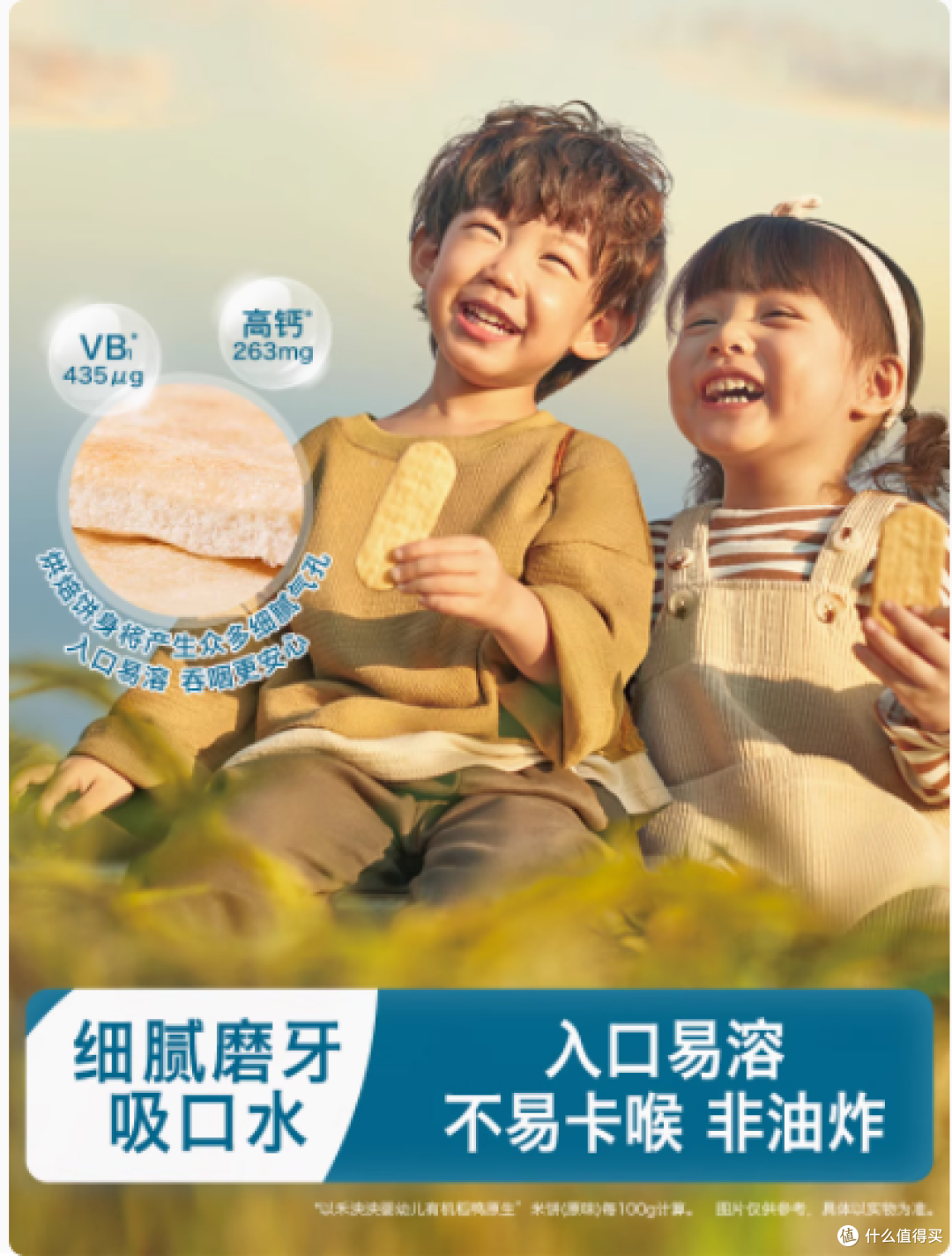 宝妈必看!禾泱泱苹果味米饼,宝宝的健康美味之选