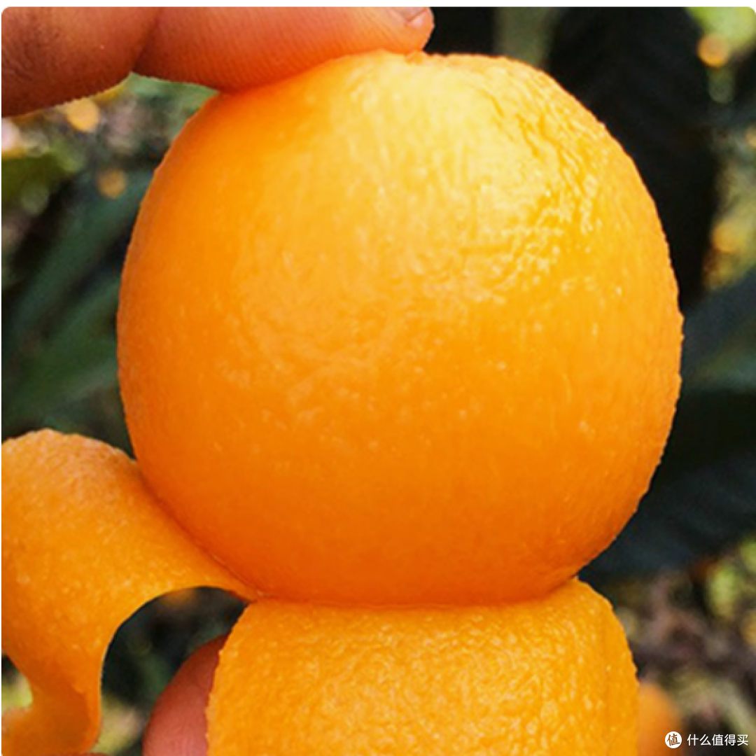 限时尝鲜摘果欢米易枇杷来自阳光之城的甜蜜馈赠