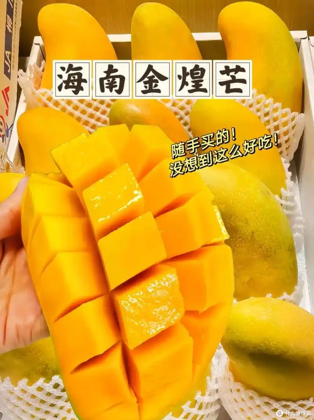 果子锐评家实锤!海南金煌芒中果才是性价比天花板!