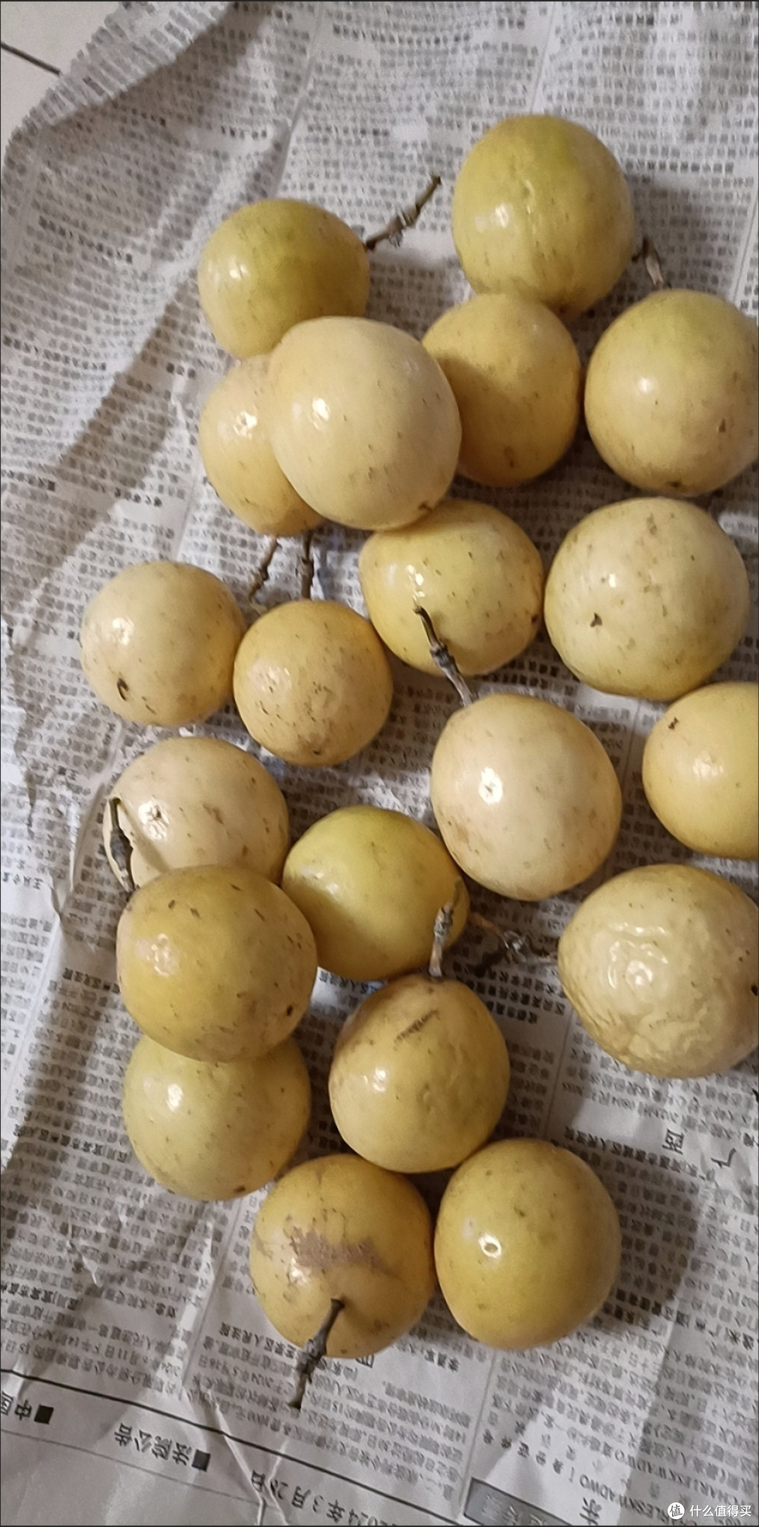 潜力作者激励计划,钦蜜9号黄金百香果真的不酸