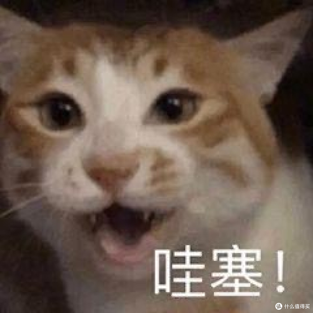 宠物净化器哪种好用？10大品牌代表款式详细分析对比