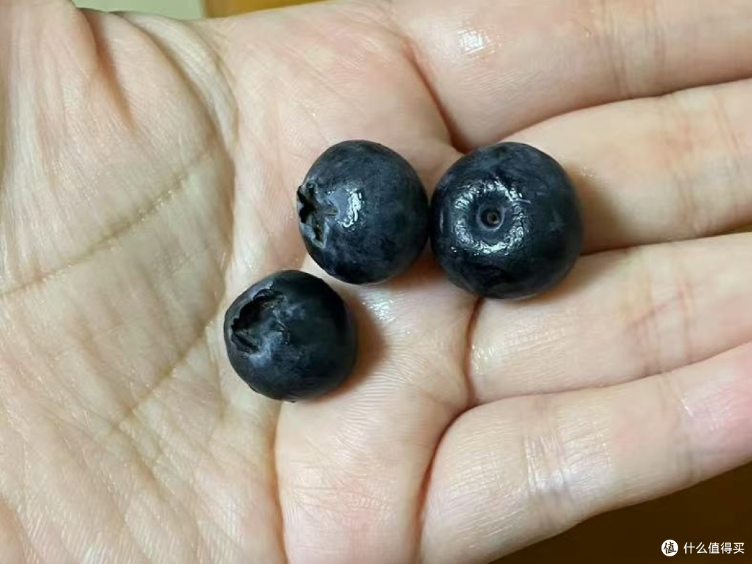 不听劝买了怡颗莓的树莓，下次不买了