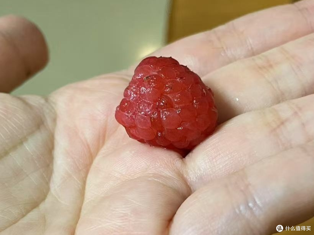 拍照的时候已经放了一长段时间，新鲜度下降