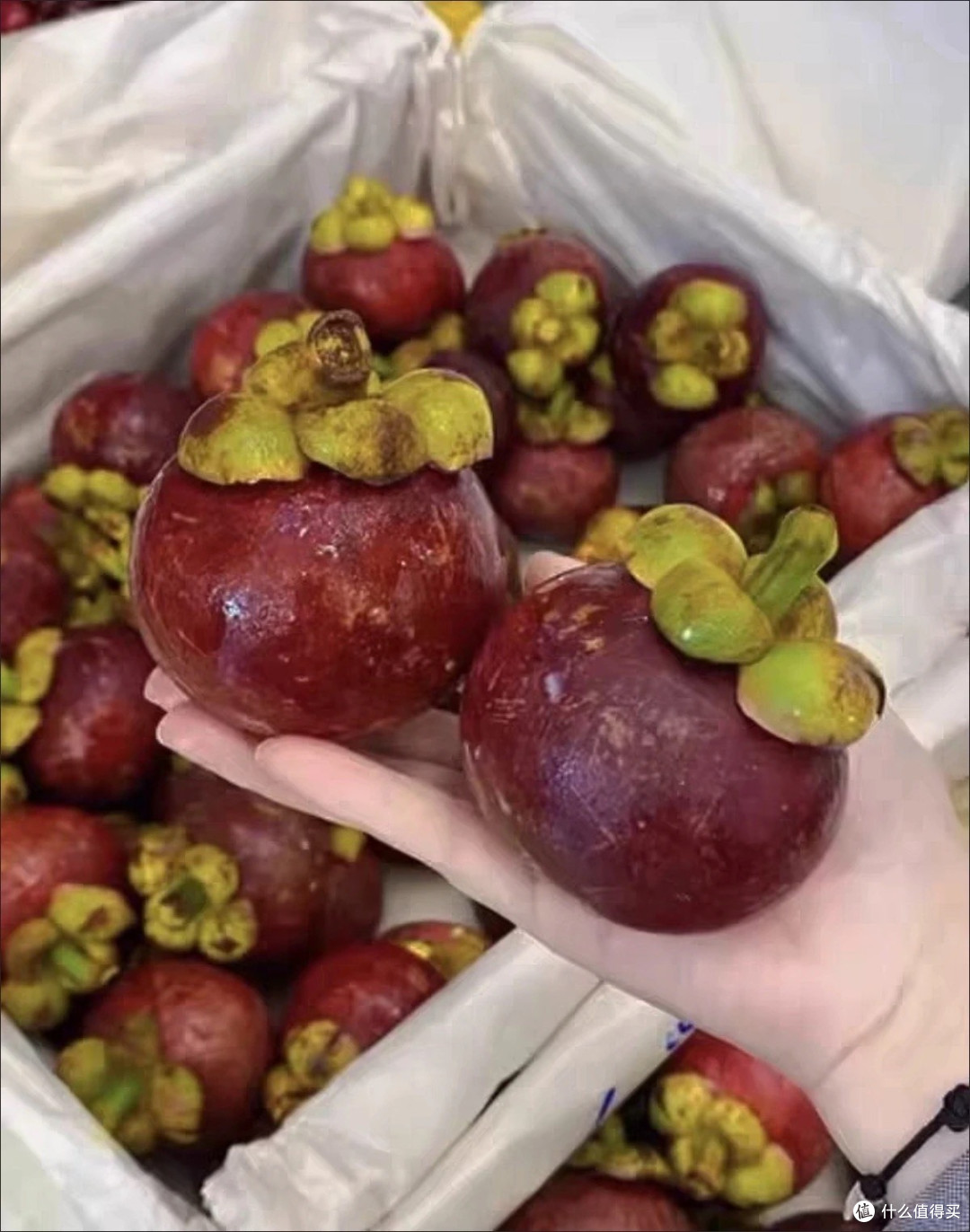 一口甜润，解锁泰国山竹的热带风味密码
