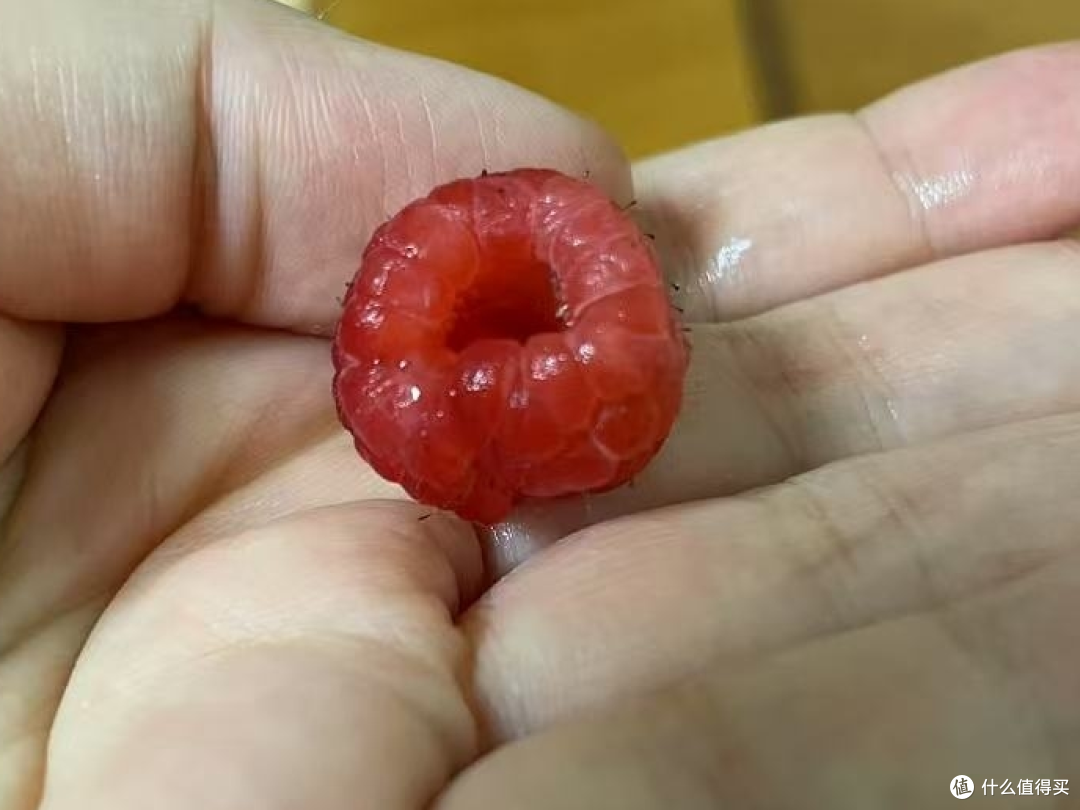 不听劝买了怡颗莓的树莓，下次不买了