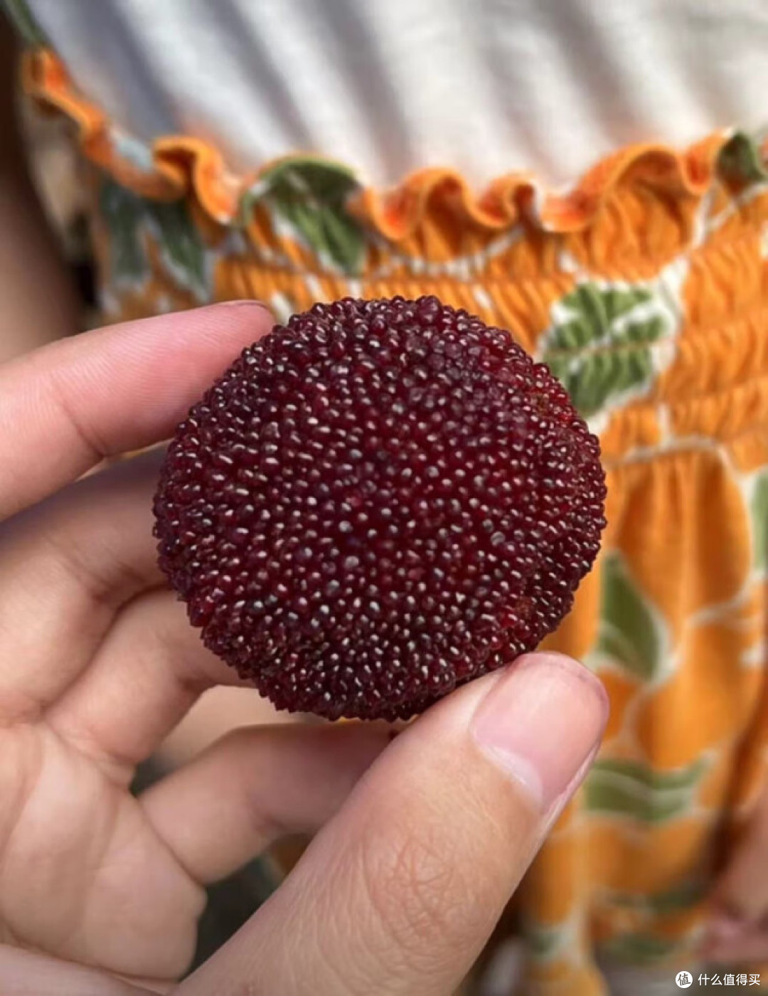 又快到了吃杨梅的季节