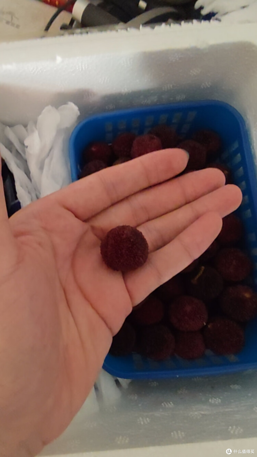 又快到了吃杨梅的季节