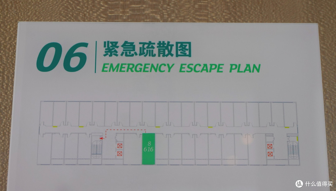 本想喂他花生,没料到还是晚节不保:九华山温泉假日酒店入住体验
