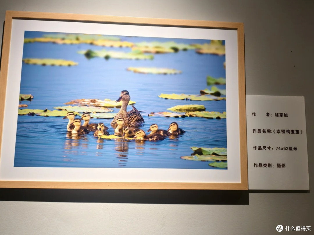 春日里的沈阳美术展之旅