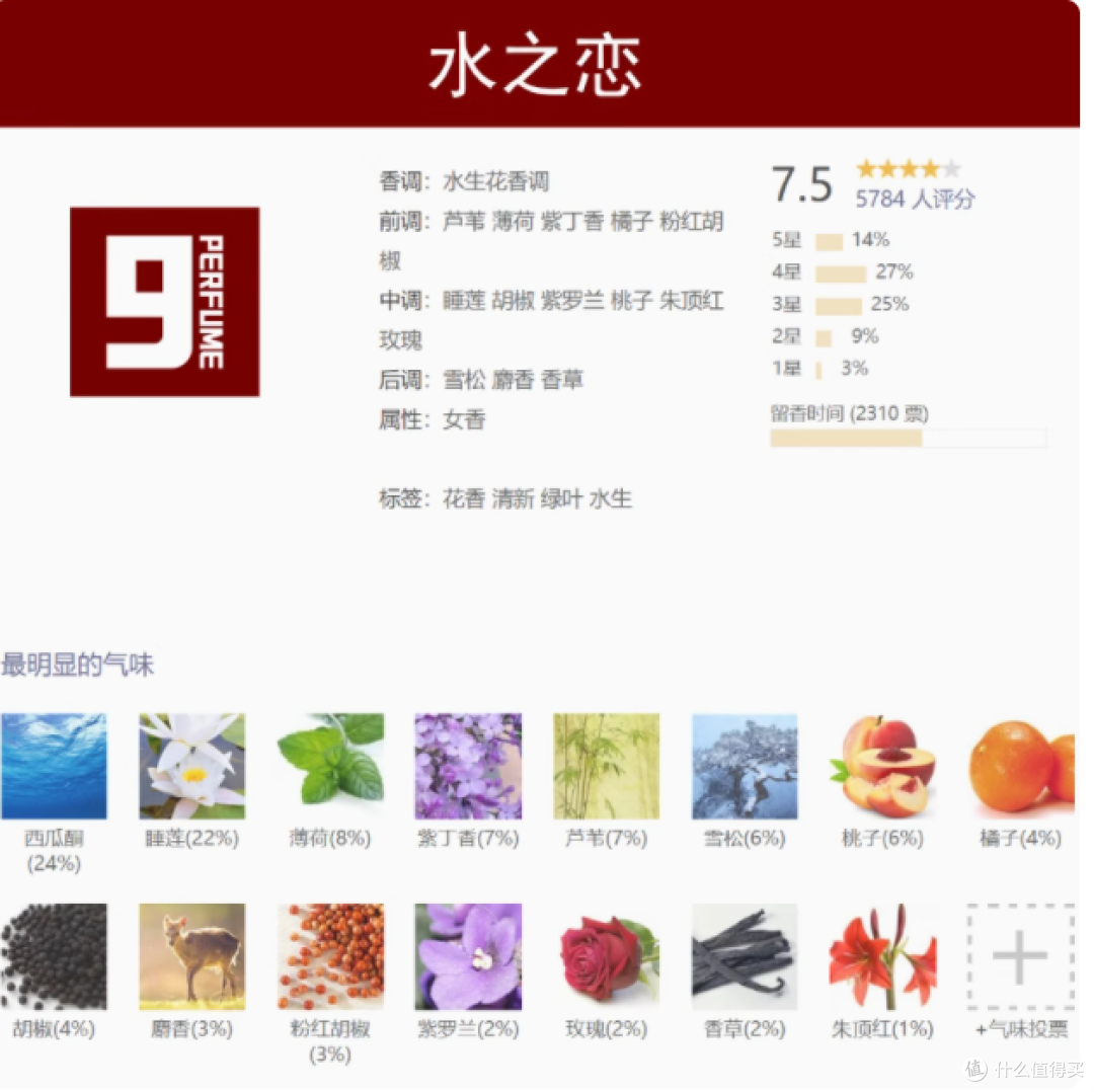 NINE 九号调香室：捕捉夏日清新的魔法