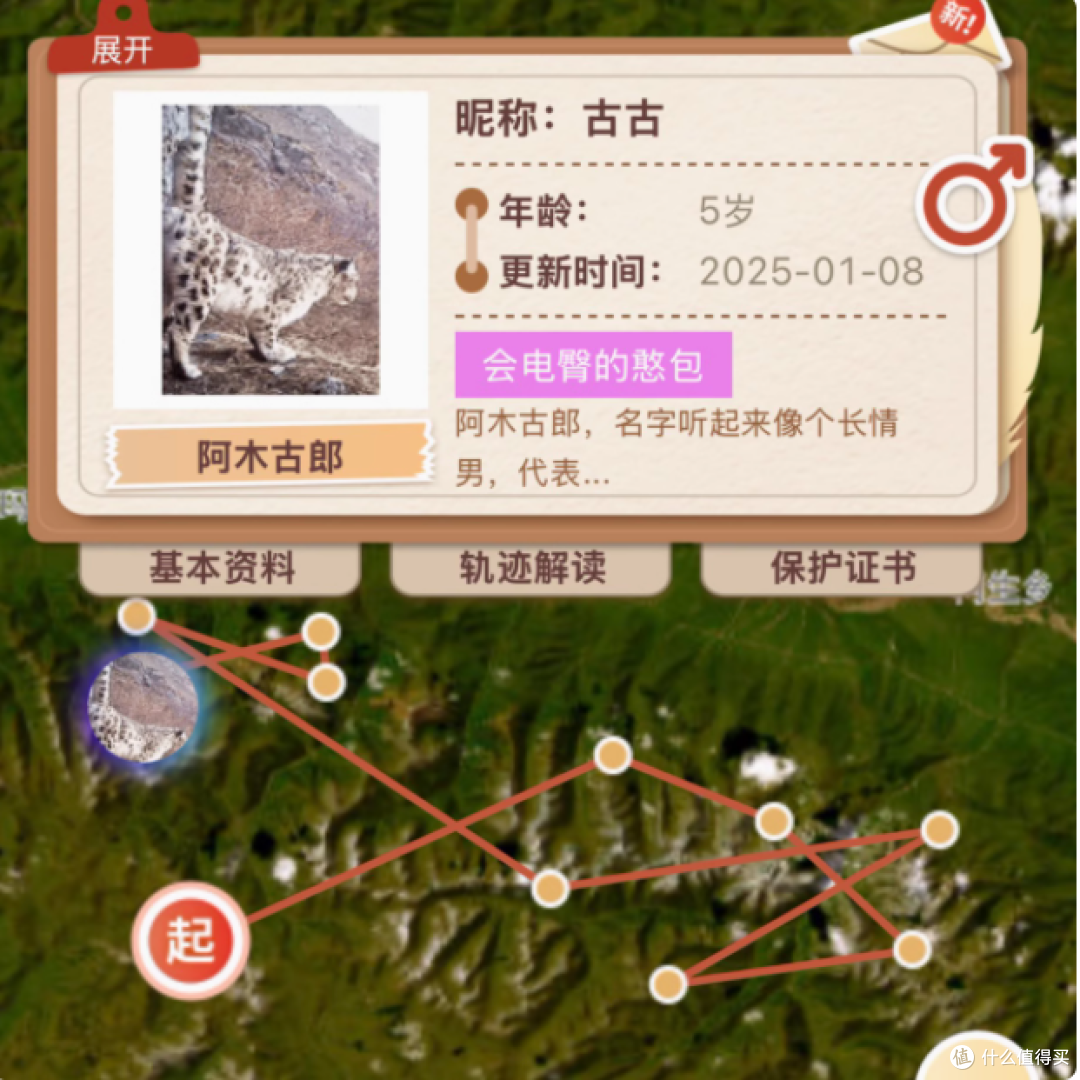 🎁独特之选:中国生灵动物追踪手链,连接你与自然的奇妙纽带