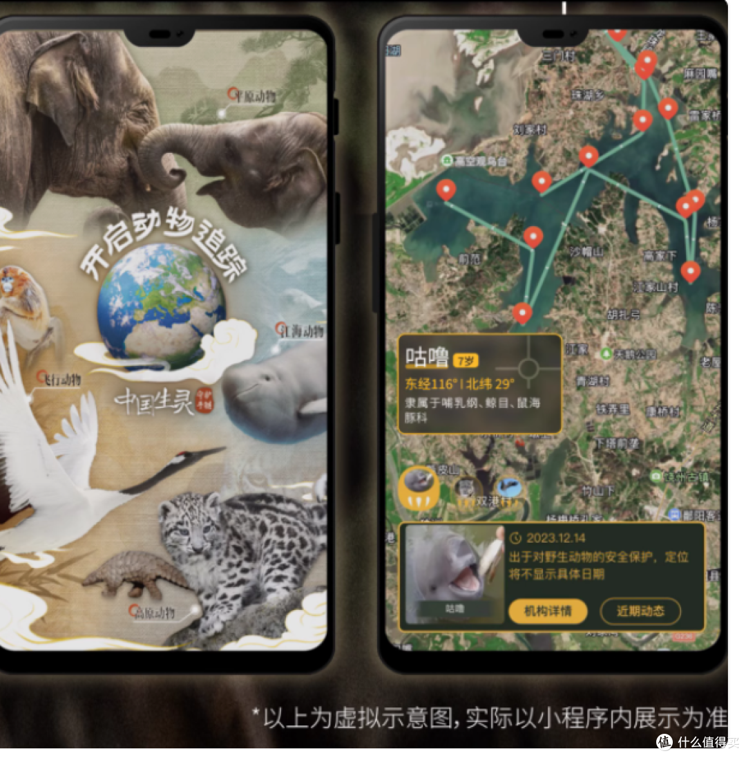 🎁独特之选:中国生灵动物追踪手链,连接你与自然的奇妙纽带