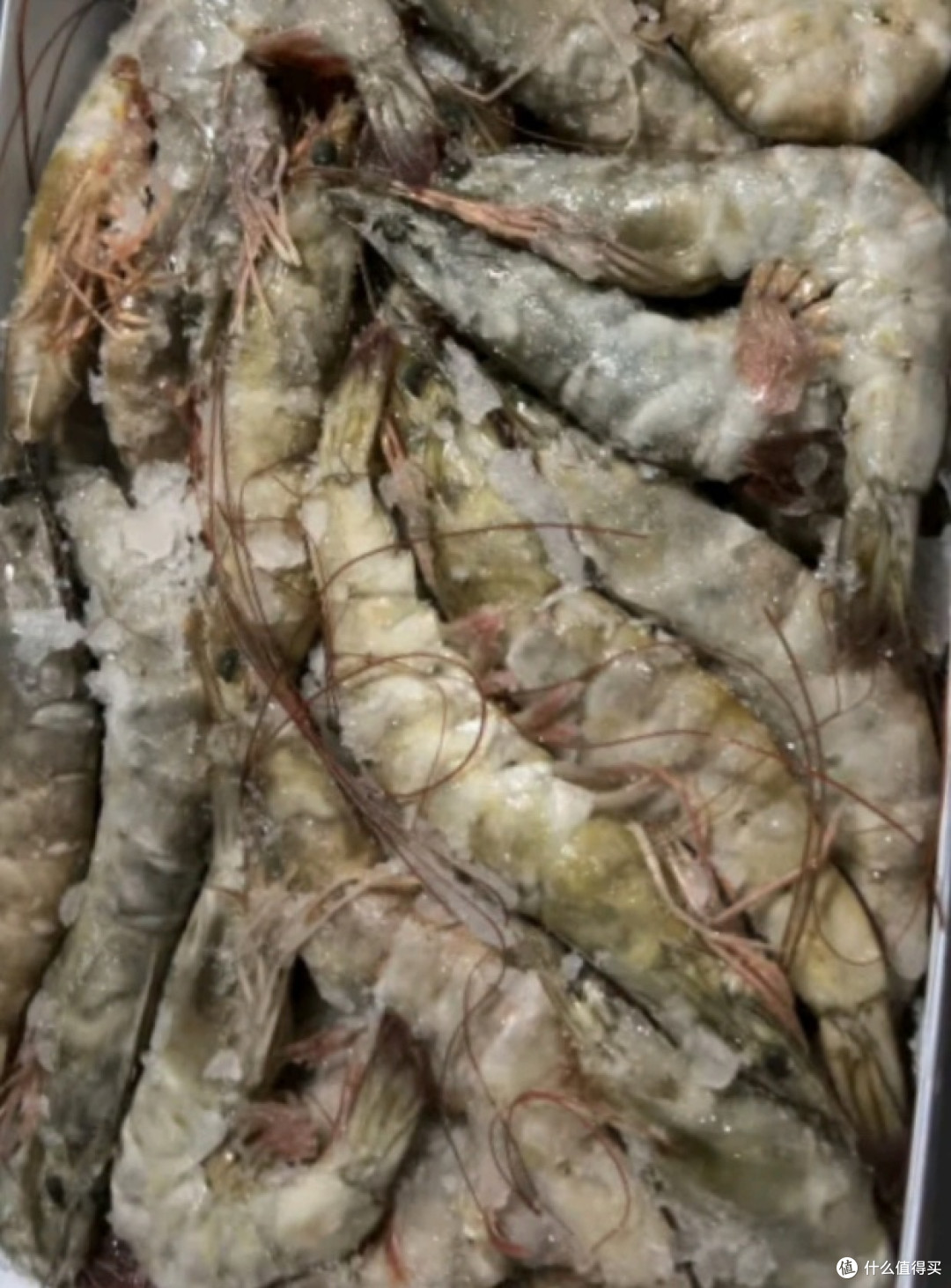 品尝美味盐冻大虾，尽享舌尖盛宴