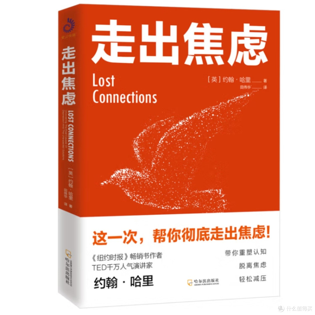 走出焦虑:理解抑郁与孤独