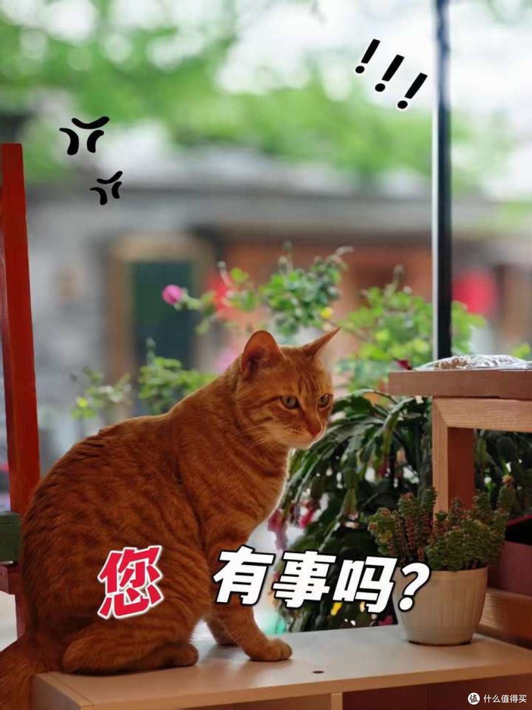 《圣多纳释放法》书评:不是情绪掌控我们,而是我们选择紧抓不放