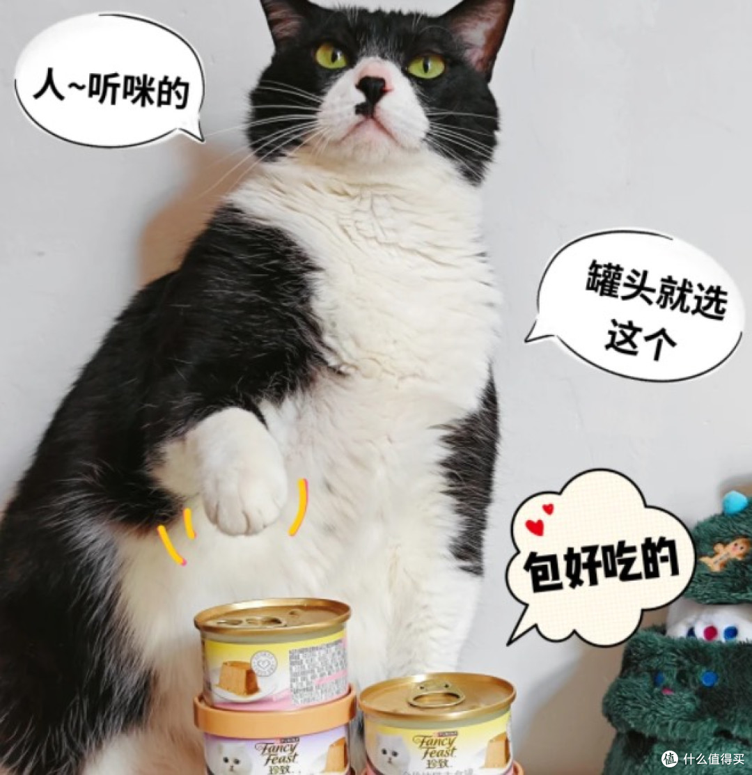 猫罐罐到底怎么选才不踩坑
